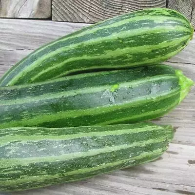 Zucchini - Cocozelle - 20+ Heirloom Seeds • $2.95