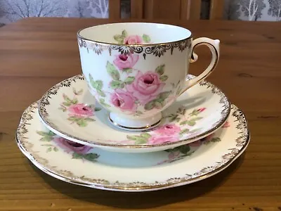 Super Salisbury DIJON Floral Patterned Fine Bone China Tea Cup Saucer Plate Trio • £9.99