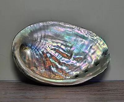 Abalone Sea Shell 3.75  X 2.75  Polished Inside For Smudging Trinket Dish • £11.57