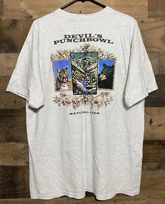 90s Devil’s Punchbowl Nature T-Shirt Vintage Size XL • $24.99