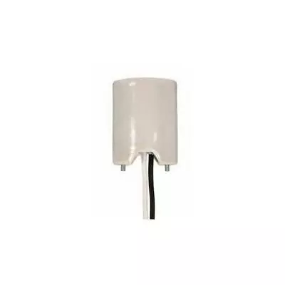 Keyless Glazed Porcelain Mogul Socket W/16-In. 18ga Leads And 2 #8/32 Screws • $32.68