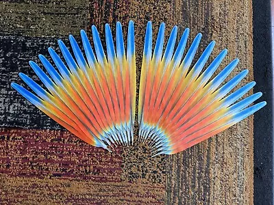 Macaw Parrot Feathers Artificial Cruelty Free Hybrid Paleo Macaw • $444.44