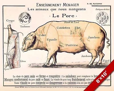 Vintage French Le Porc Meat Diagram Poster Painting 8x10 Real Canvas Art Print • $14.99