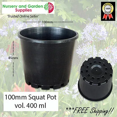 $24.99 • Buy 100mm Squat Plant Pot Black - Cactus, Succulents, Orchids, Herbs, Flowers