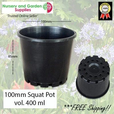 100mm Squat Plant Pot Black - Cactus Succulents Orchids Herbs Flowers • $24.99