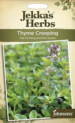 £3.10 • Buy Thyme Creeping 1200 Fresh Seeds    Thyme Seeds    Herb Seeds    Mr Fothergills