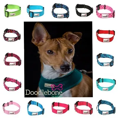 £4.50 • Buy Doodlebone Dog Puppy Bold Durable Nylon Adjustable Collar Various Colours XS-XL