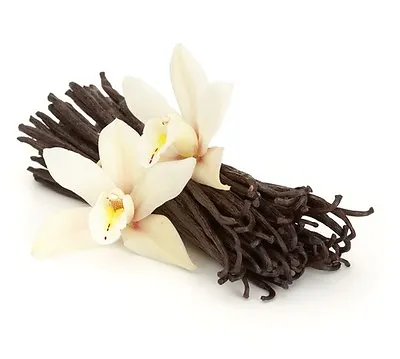 10 ORGANIC Extract Grade A Gourmet Madagascar Bourbon Vanilla Beans 5.5 -7  • $14.99