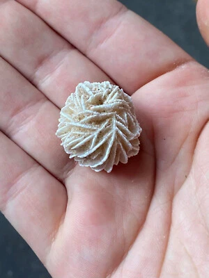 $0.99 • Buy Desert Rose Selenite Stone Specimens Healing Crystals