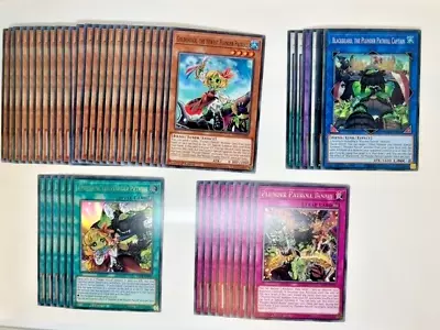 Yugioh - Competitive Plunder Patroll Deck + Extra Deck *Ready To Play* • £14.99