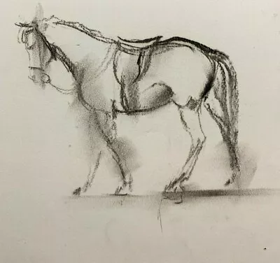 Charcoal Drawing Horse Portrait Sketch By Alfred Kingsley Lawrence RA 1893-1975 • £150