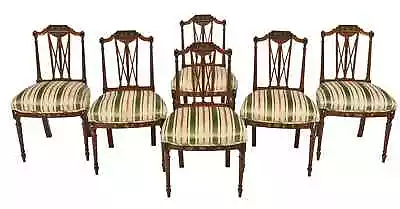 Antique Chairs Dining Silk Set Of Six Edwardian Paint Decorated Early 1900s • $1675