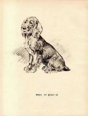 Funny Vintage Original Dog Print 1942 K.F. Barker 'When I'm Grown Up' • £7.75