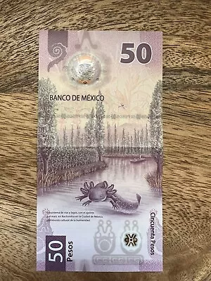 Mexican Bill 50 Pesos (Ajolote) 2023 Exquisite Design Axolotl Mexico Banknote • $9.99