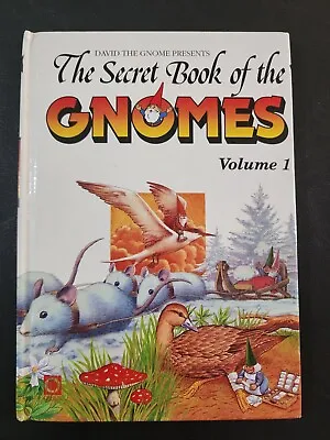 The Secret Book Of Gnomes -  David The Gnome Volume 1 - Hardcover • £4.90