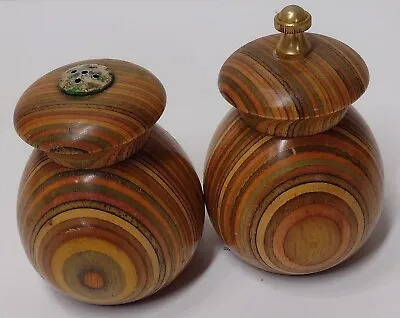 Mr Dudley Rainbow Wooden Pepper Mill & Salt Shaker Set Multi-Colored • $17.99