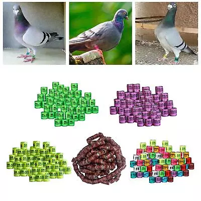 Pigeon Foot Rings Dove Foot Bands For Finch Canary Quail Lovebirds • £7.24