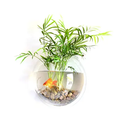 Home Decoration Wall Mount Fish Tanks Goldfish Bowl Acrylic  C9N3 • $22.66