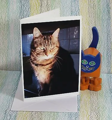 Card:  Tabitha A Manchester Mackerel Tabby Cat  #PeterBrighousePhotography • £2.49