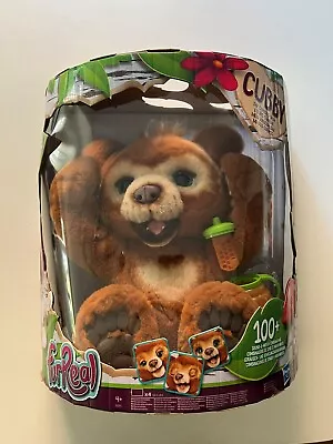 FurReal Friends Curious Cubby  Teddy Bear Toy • £80