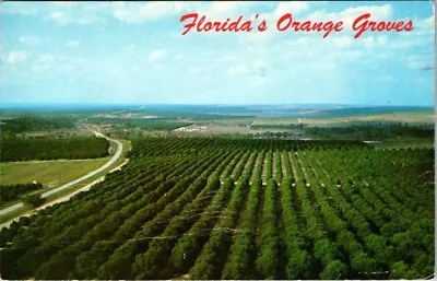 Florida's Orange Grove Citrus Tower Chrome Posted 1969 • $3.50