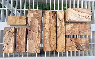 Curly Spalted Maple Turning Blanks 3 5/8  To 8 7/8  L 9 Pc. #326P • $20