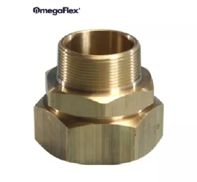 Omegaflex 2” Tracpipe Straight Male Adapter  - AutoFlare FGP-FST-2000-NPT • $110