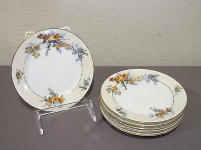 Set (6) Epiag Silver Maple Bread Plates • $29.99