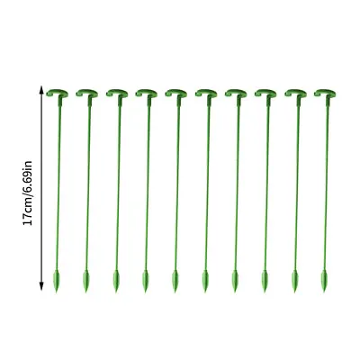 10x Plant Support Stakes Garden Flower Support Stake Sticks Plastic Single Stem • £3.38