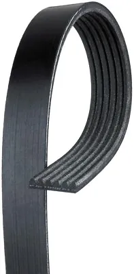 Serpentine Belt-Standard ACDelco Pro 6K495 • $26.58