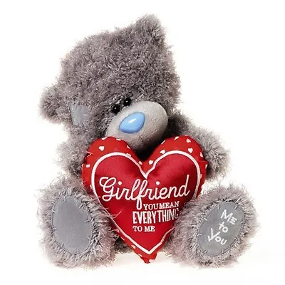 Me To You Tatty Teddy 9  Plush Bear Girlfriend You Mean Everything Me • £23.99