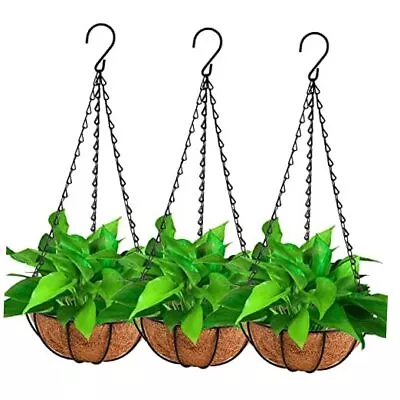  3 Pack 8  Metal Hanging Flower Pots Hanging Planters Plant Basket With Coco  • $33.88