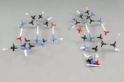 $22.95 • Buy Nucleic Acid Bases Molecular Model Kit (154 Pcs)