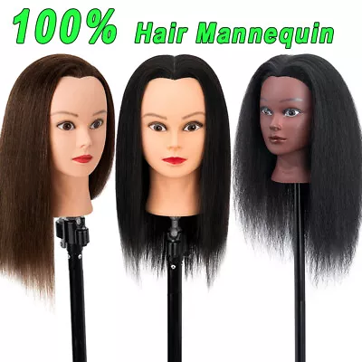 Mannequin Head 100% Human Hair Hairdresser Manikin Cosmetology Training Doll 18  • $45.95