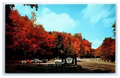 Mt Jewett PA Postcard- Roadside Picnic Area Seneca Highlands • $7.69