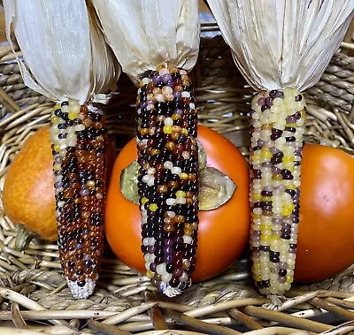 Primitive Farmhouse Display Tiered Tray Bowl Filler MINI INDIAN CORN Lot PROP 89 • $19.95