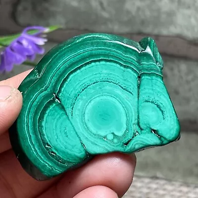 Malachite Slab / Slice  Polished Gemstone Mineral Specimen Congo   18g  F26 • $14.95