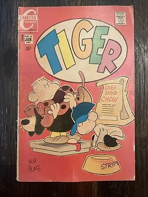 Charlton Comics Comic Book TIGER Vol. 2 No. 6 January 1971 Bronze Age • $8.99