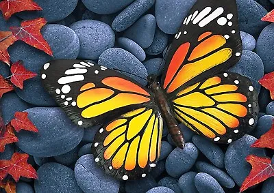 £7.99 • Buy Large Orange Black Butterfly 3D Wall Art Home Garden Fence Decor Ornament