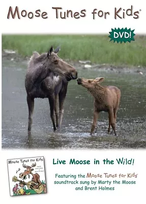 Children's Music Moose Tunes Live Moose In The Wild DVD Marty Moose New Sealed • $8.74