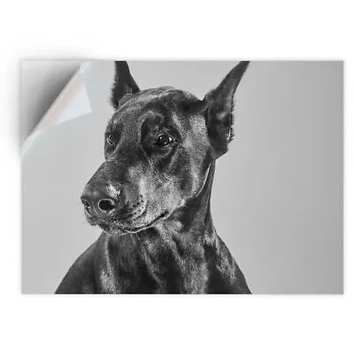£5.99 • Buy 1 X Vinyl Sticker A4 - BW - Doberman Dog Portrait Puppy  #39046