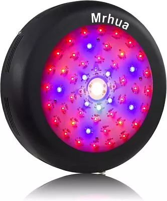 300W  LED Grow LightFull Spectrum UVIR CREE COB Higher Par Value Prow Light • $183