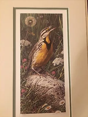 Carl Brenders  1986 Robin On Rock Signed Matted 79/950 MINT • $79.99