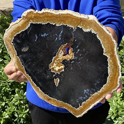 5.18LB  Crystal Slices Of Natural Petrochemical Wood Fossils From Madagascar • $5.50