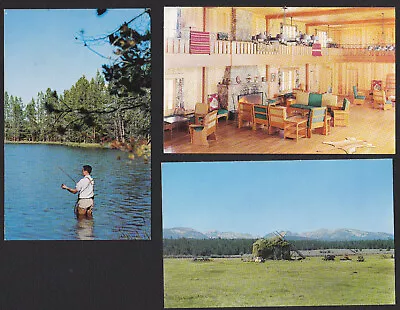 3-Montana-Jackson-Diamond Bar Inn-Trout Fishing-Lobby-Hay-Vintage Postcard Lot • $14.95