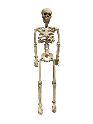 36  Skeleton Halloween Decor 3FT Posable Skull Hanging Creepy Bones Jointed Body • $10