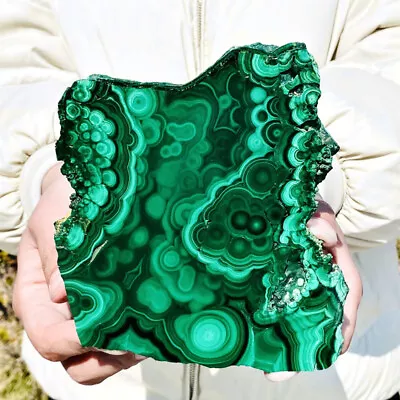 1.94LB Natural Malachite Slice Quartz Crystal Luster Mineral Specimen • $0.99