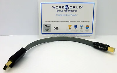$174.99 • Buy WireWorld Silver Starlight 7 USB 0.3 Meter A-B