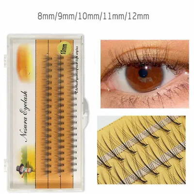 60 Clusters False Eyelashes Flare Individual Eye Lashes Extension C Curl Knot} • $2.87