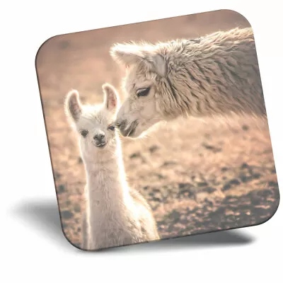 Awesome Fridge Magnet - Cute Llama Alpaca Mum Baby Cool Gift #12989 • £4.99